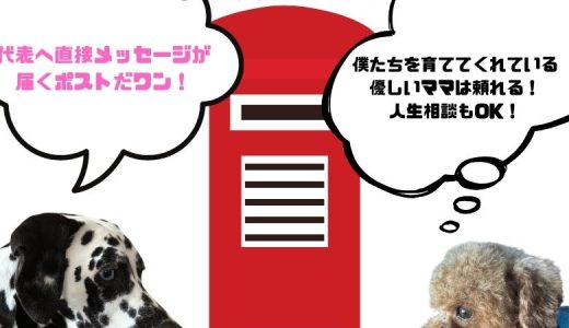 なんでもポスト開設（岐阜から広がる人とのつながり）